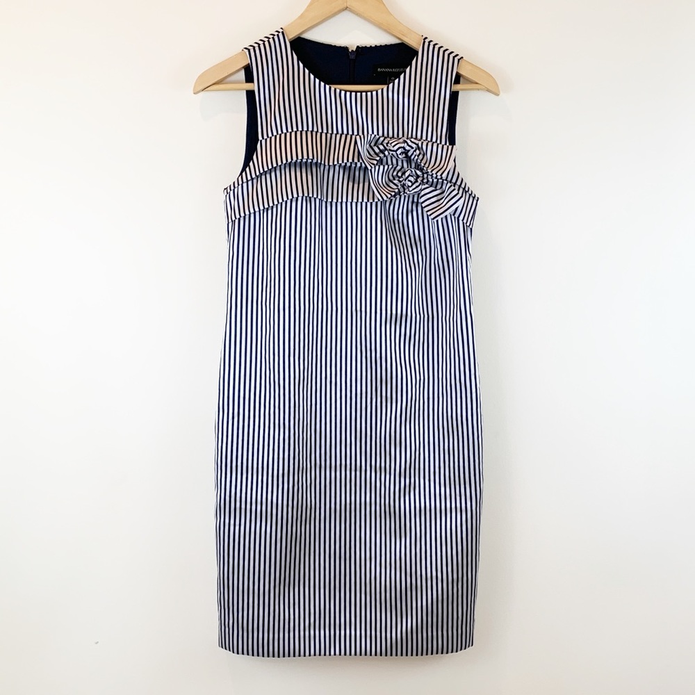 Banana Republic Pin Striped Dress